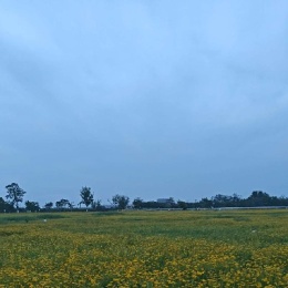 LongPort - 旺旺688