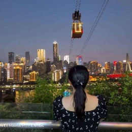 LongPort - 静待花开M