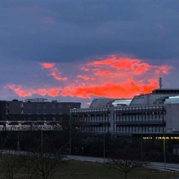 LongPort - 你爱吃苦耐劳关我毛事