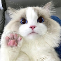 LongPort - 保持学习