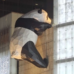 LongPort - 入坑的小散