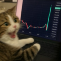 LongPort - 挣个旅费爬乞力马扎罗