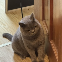 LongPort - somnusliang