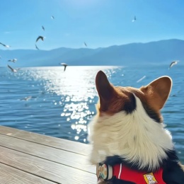 财神追着我喂饭