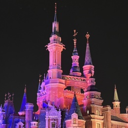 LongPort - 猫味咖啡