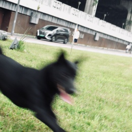 LongPort - 我在天府嗦螺蛳