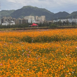 LongPort - 新用户_EwMqt