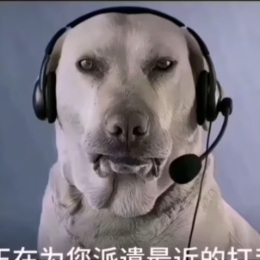 LongPort - 代号不死鸟