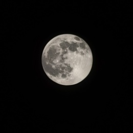 LongPort - 无限幻想