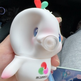 Longbridge - 苦瓜炒豆豉鲮鱼