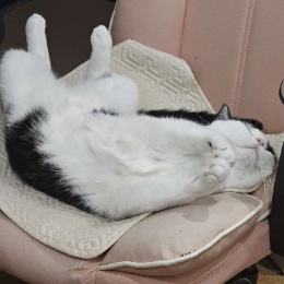 LongPort - 赚他个一百w