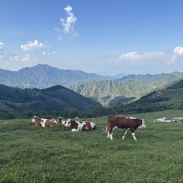 LongPort - 新用户_FQDk