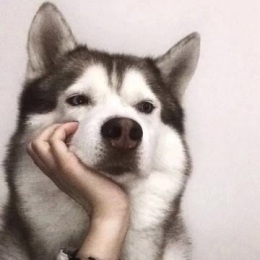 LongPort - 我黄某人必赚一个亿