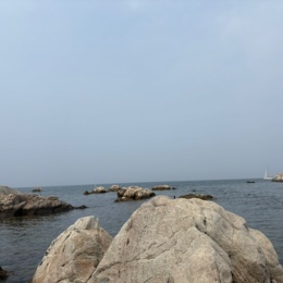 LongPort - 乌龙绿茶