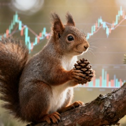 LongPort - 一只松鼠