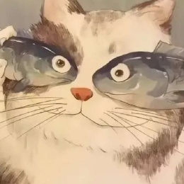 踏实的交易员