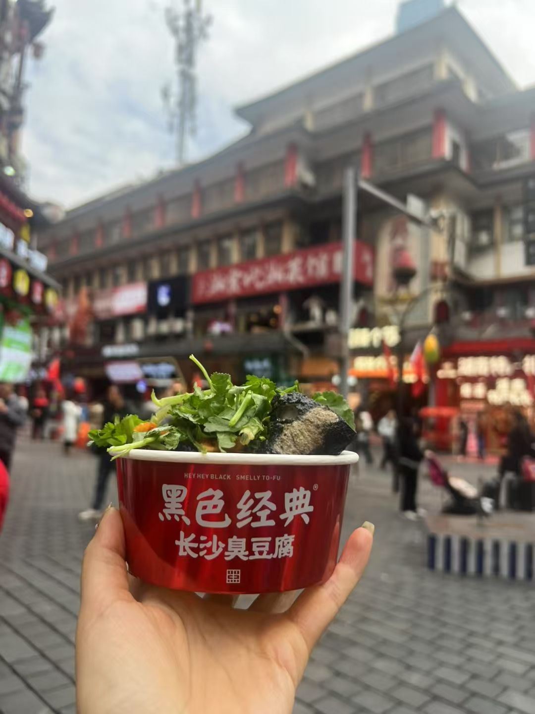 图片 1，共 1 张