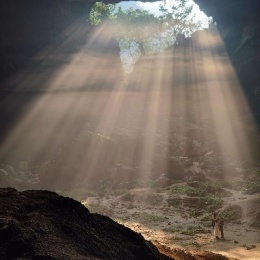 LongPort - 蚍蜉撼树