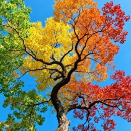 Longbridge - 一切如梦幻泡影～