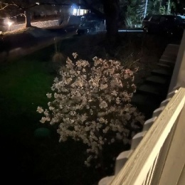 LongPort - 四十五度阳光