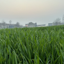 LongPort - 大佬求带