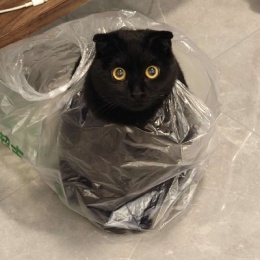 LongPort - Rosetta666