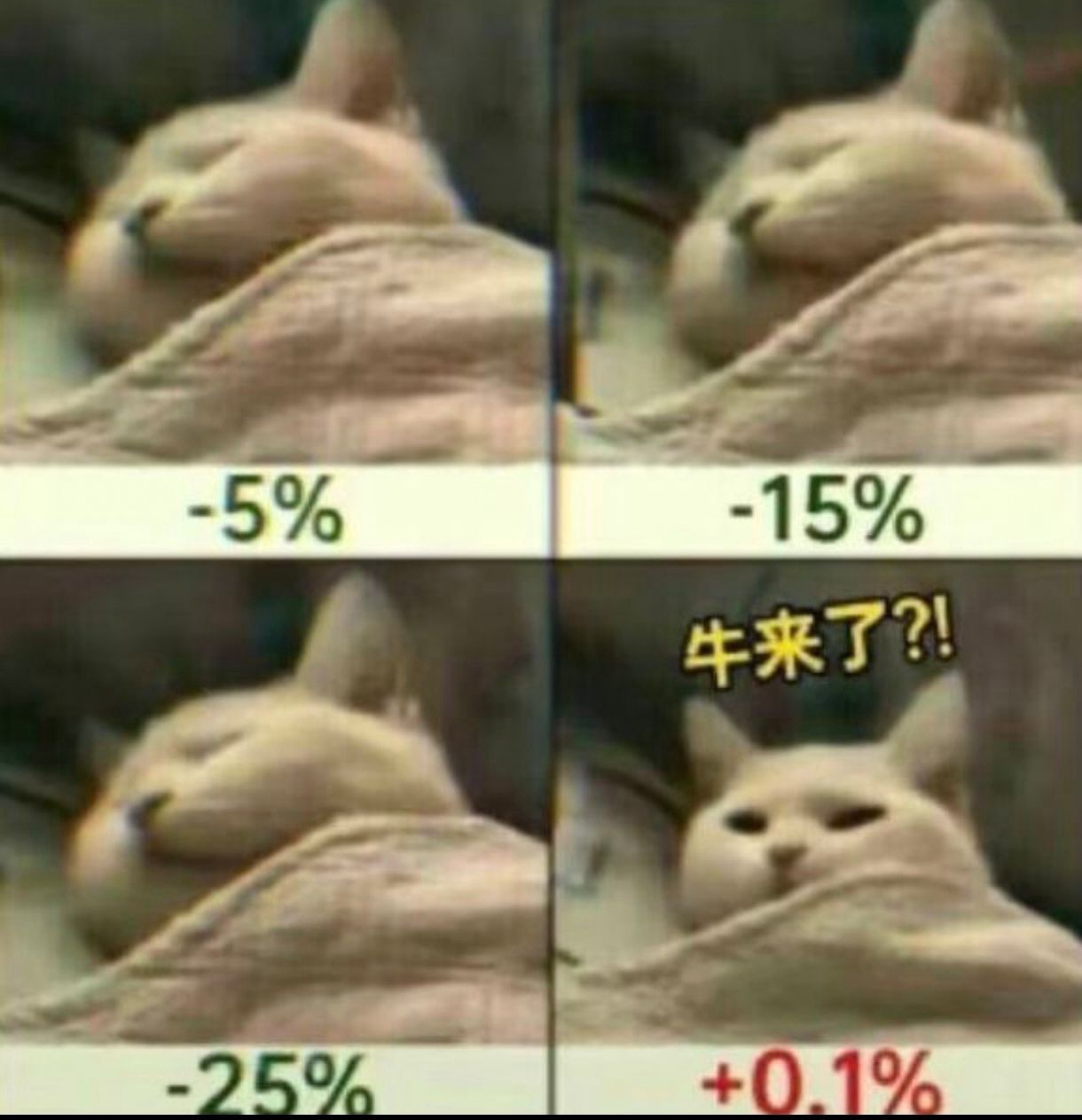 图片 1，共 1 张