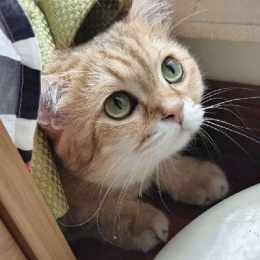 LongPort - 买好股做好人不被割