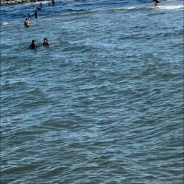 LongPort - 墨西哥的春天