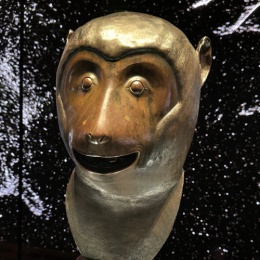 LongPort - Captain y