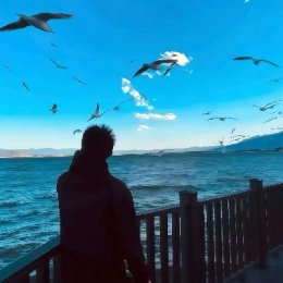 LongPort - AAA建材王哥