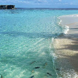 LongPort - 长缨缚苍龙