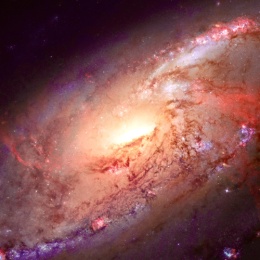 Longbridge - 陆家嘴扫地僧