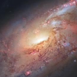 LongPort - 陆家嘴扫地僧