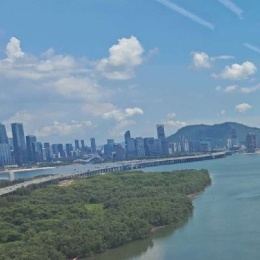 LongPort - 满仓吃面不慌张