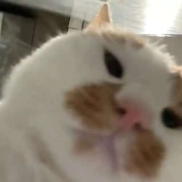 LongPort - 和自己对话