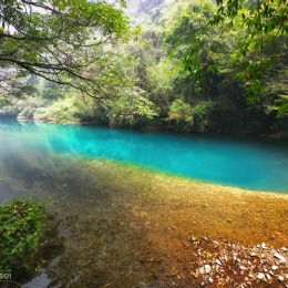 LongPort - 文有高