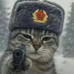 Longbridge - 风w长宜放眼量