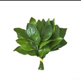 招财进宝福运来