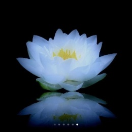 LongPort - 月亮的交易员