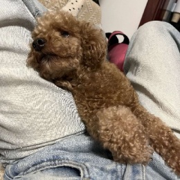 LongPort - 新用户_I99Ziw