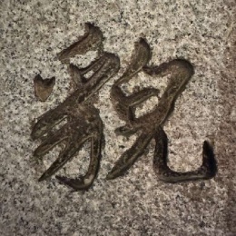 LongPort - 溜达的豆芽