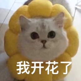 LongPort - 西瓜moko