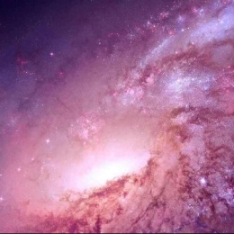 LongPort - 周家乾坤袋