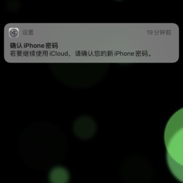 LongPort - 我们都爱大妞妞