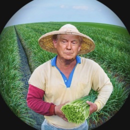 LongPort - 没有脑子就割不到我