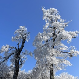 LongPort - 从大A跑路