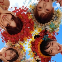 LongPort - 盘前悟道半坤年