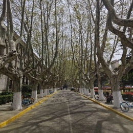 Longbridge - 马斯克WJ