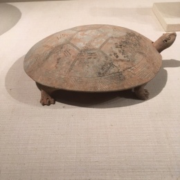 LongPort - 龟速不慢